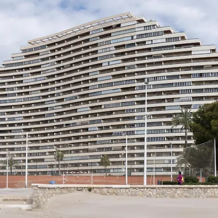 Florazar 2, Viii-8-b